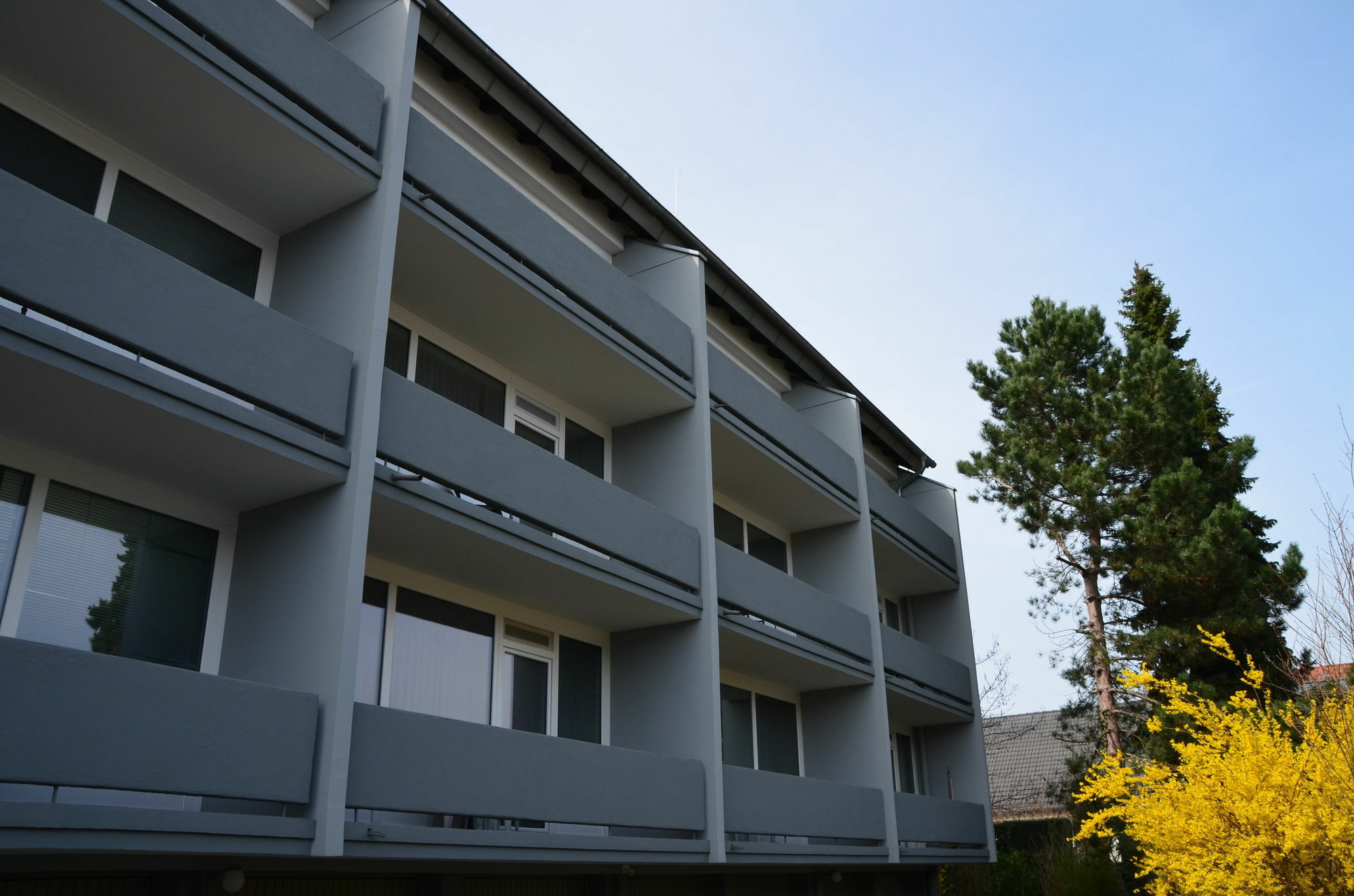Neu Heidelberg - Guesthouse & Apartments Exterior photo