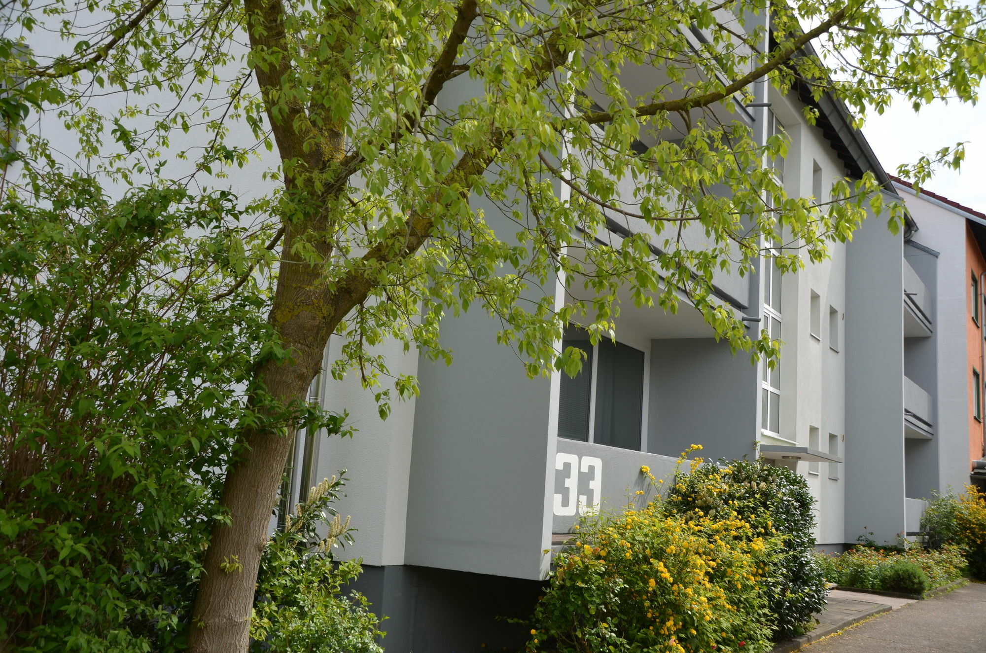 Neu Heidelberg - Guesthouse & Apartments Exterior photo